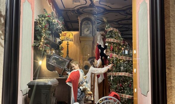 33η "Η γάτα" 2024-2025